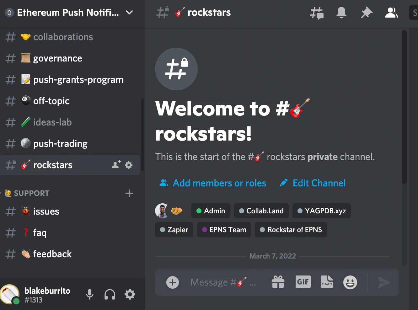 First image of Token-Gated Channel for Our Rockstar Community